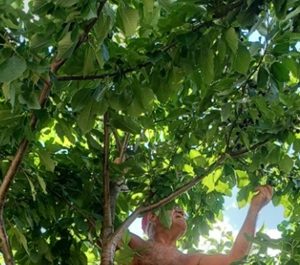 Ritmul pe care l-am învățat de la natură